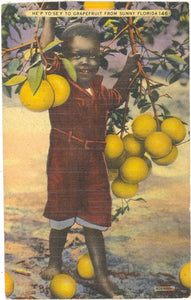 He'p Yo' Se'f to Grapefruit from Sunny Florida - Carey's Emporium