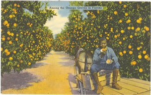 Among the Orange Groves in Florida - Carey's Emporium