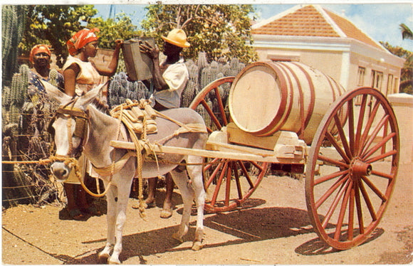 Water Vendor, Curacao, Antilles - Carey's Emporium