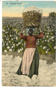 Drying Cotton - Carey's Emporium