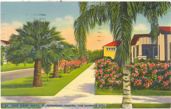 First Street, St. Petersburg, FL - Carey's Emporium