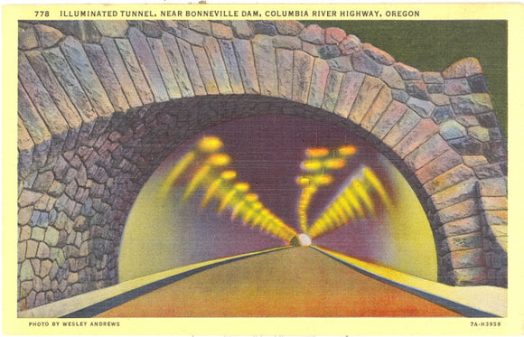Illuminated Tunnel, Near Bonneville Dam, Columbia River Highway, OR - Carey's Emporium