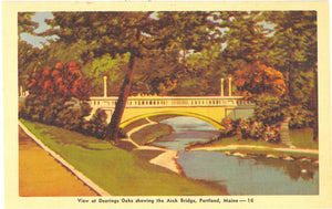 View at Deerings Oaks showing the Arch Bridge, Portland, ME - Carey's Emporium