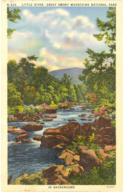 Little River, Great Smoky Mountains National Park - Carey's Emporium