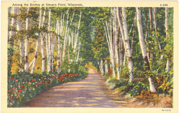 Among the Birches at Stevens Point, WI - Carey's Emporium