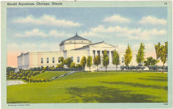 Shedd Aquarium, Chicago, IL - Carey's Emporium