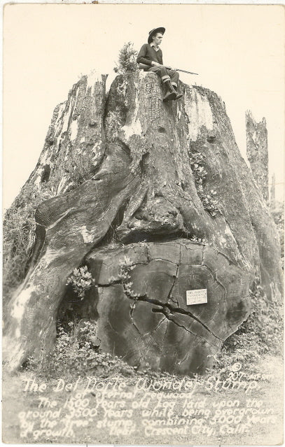 The Del Norte Wonder Stump, near Crescent City, CA - Carey's Emporium