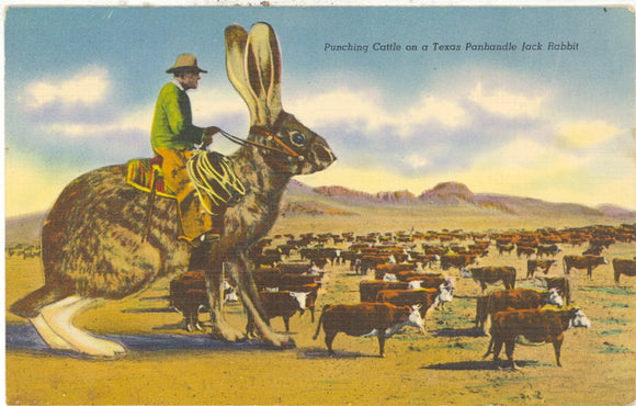 Punching Cattle on a Jack Rabbit, Exaggeration - Carey's Emporium