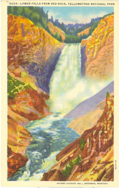 Lower Falls from Red Rock, Yellowstone National Park - Carey's Emporium
