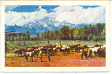 Grand Tetons and Jackson Hole Country, WY Souvenir Folder - Carey's Emporium
