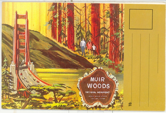 Muir Woods Souvenir Folder - Carey's Emporium