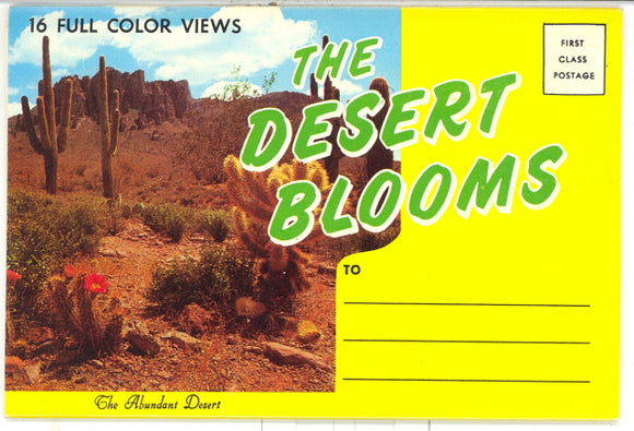 The Desert Blooms Souvenir Folder - Carey's Emporium