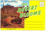 The Desert Blooms Souvenir Folder - Carey's Emporium