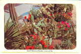 The Desert Blooms Souvenir Folder - Carey's Emporium