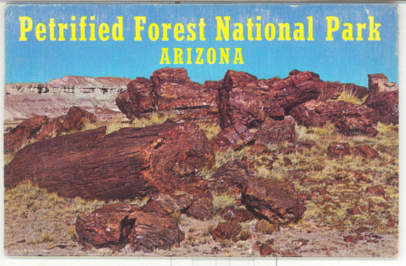 Petrified Forest National Park, AZ Souvenir Folder - Carey's Emporium