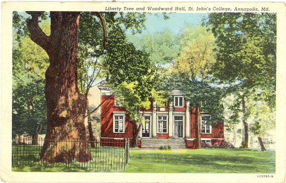 Liberty Tree and Woodward Hall, St. John's College, Annapolis, MD - Carey's Emporium