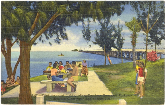 Courtney Campbell Parkway between Tampa and Clearwater, FL - Carey's Emporium