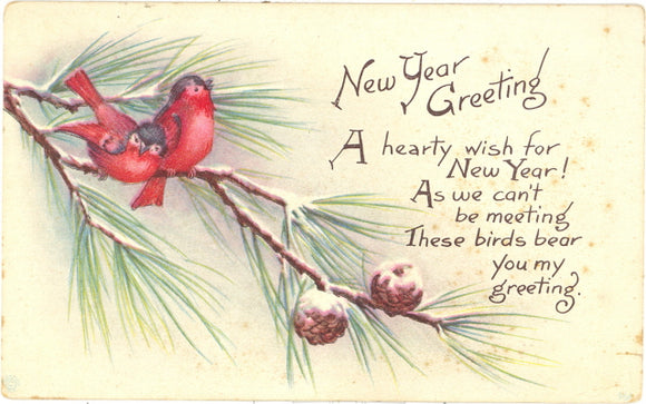 New Year Greeting - Carey's Emporium