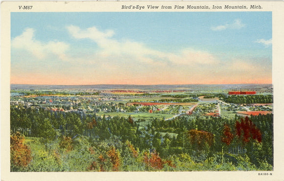Bird's-Eye View from Pine Mountain, Iron Mountain, MI - Carey's Emporium