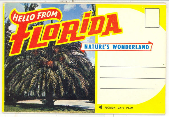 Hello From Florida Souvenir Folder - Carey's Emporium