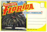 Hello From Florida Souvenir Folder - Carey's Emporium