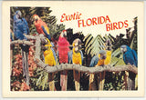 Hello From Florida Souvenir Folder - Carey's Emporium