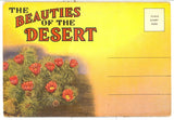 The Beauties of the Desert Souvenir Folder - Carey's Emporium