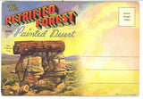 The Petrified Forest and Painted Desert Souvenir Folder - Carey's Emporium