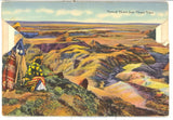 The Petrified Forest and Painted Desert Souvenir Folder - Carey's Emporium
