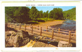 Copper Falls State Park, Mellen, WI Souvenir Folder - Carey's Emporium