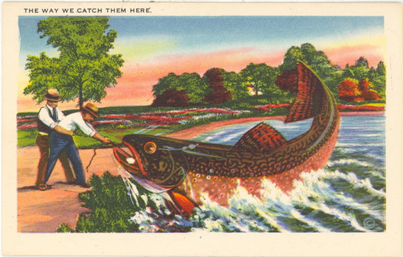 The Way We Catch Them Here Exaggeration - Carey's Emporium