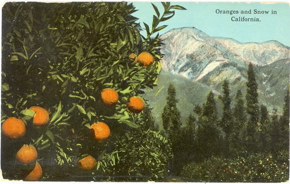 Oranges and Snow in California - Carey's Emporium