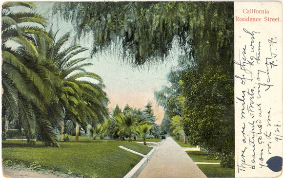 California Residence Street, Los Angeles, CA - Carey's Emporium