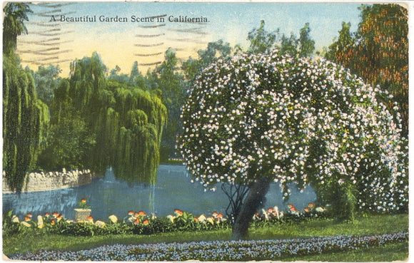 A Beautiful Garden Scene in California, Long Beach, CA - Carey's Emporium