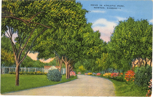 Drive in Athletic Park, Newton, KS - Carey's Emporium