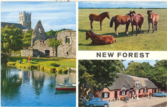 Christchurch New Forest - Carey's Emporium