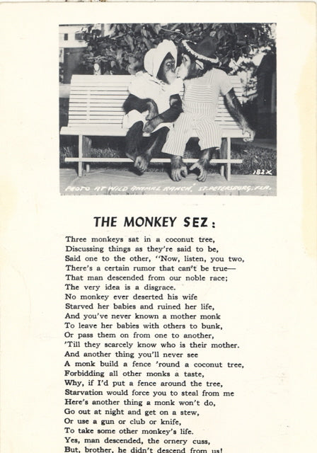 Wild Animal Ranch, St. Petersburg, FL - Carey's Emporium