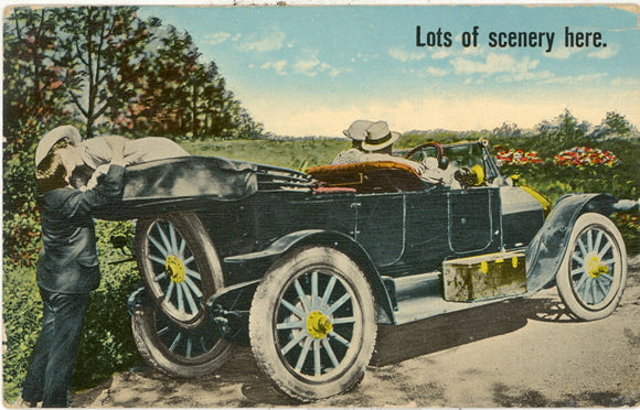 Lots of Scenery Here - Carey's Emporium