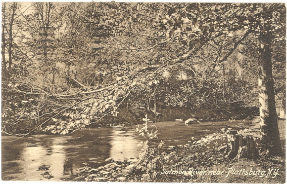 Salmon River near Plattsburg, NY - Carey's Emporium