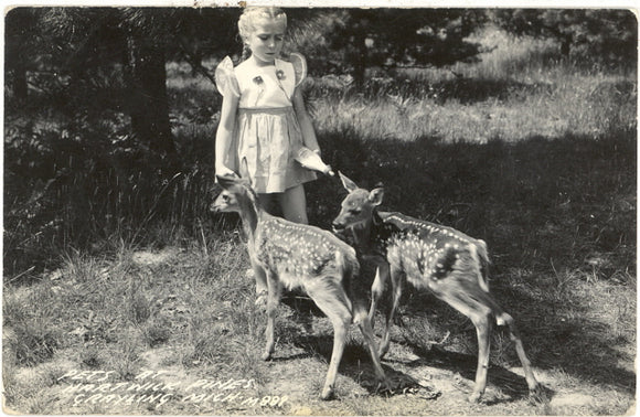 Pets at Hartwilk Pines, Grayling, MI - Carey's Emporium