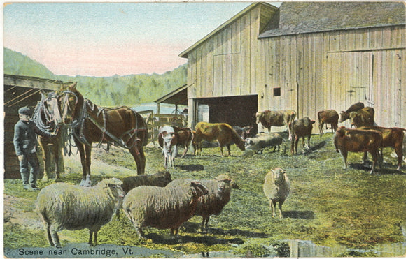 Scene near Cambridge, VT - Carey's Emporium