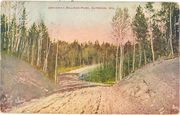 Driveway, Billings Park, Superior, WI - Carey's Emporium