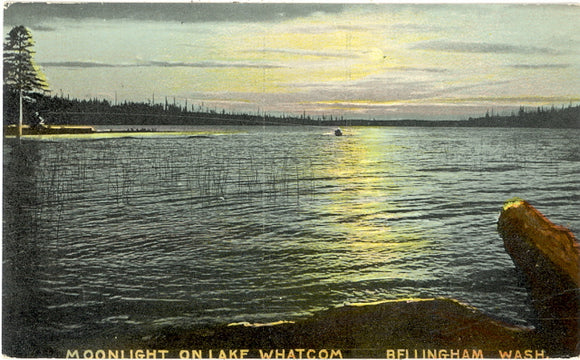 Moonlight on Lake Whatcom, Bellingham, WA - Carey's Emporium