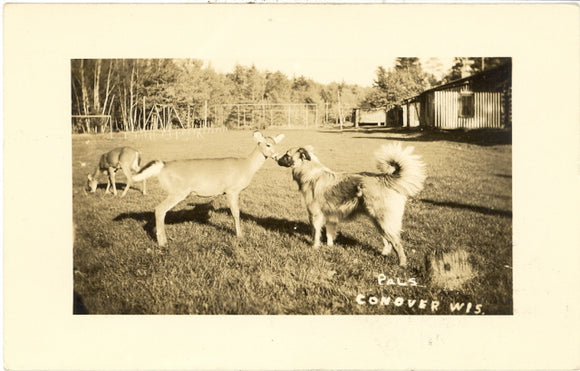 Pals, Conover, WI - Carey's Emporium