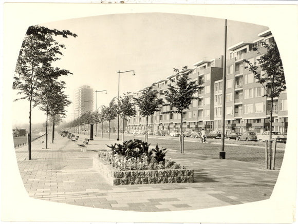 De Schiedamse Dijk, Rotterdam - Carey's Emporium