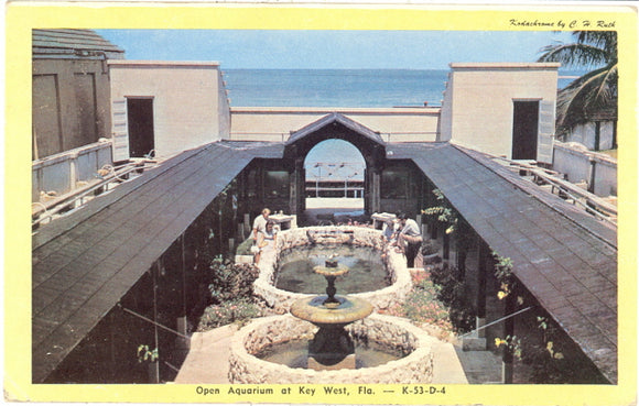 Open Aquarium, Key West, FL - Carey's Emporium