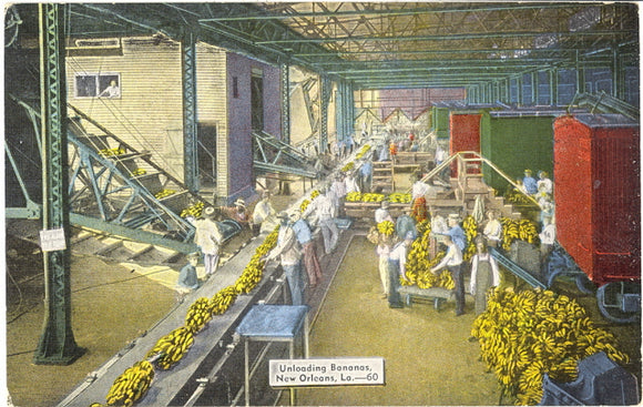 Unloading Bananas, New Orleans, LA - Carey's Emporium
