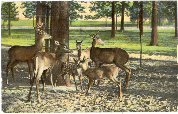 Deer Park, Belle Isle, Detroit, MI - Carey's Emporium