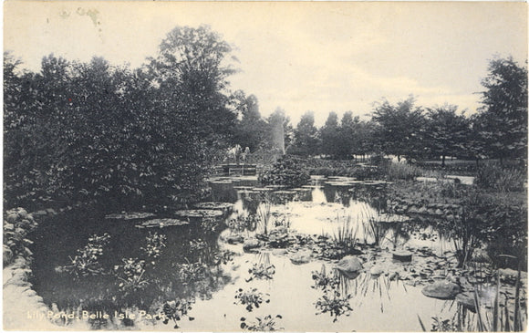 Lily Pond, Belle Isle, Detroit, MI - Carey's Emporium