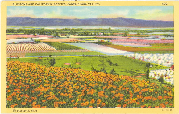 Blossoms and California Poppies, Santa Clara Valley, CA - Carey's Emporium